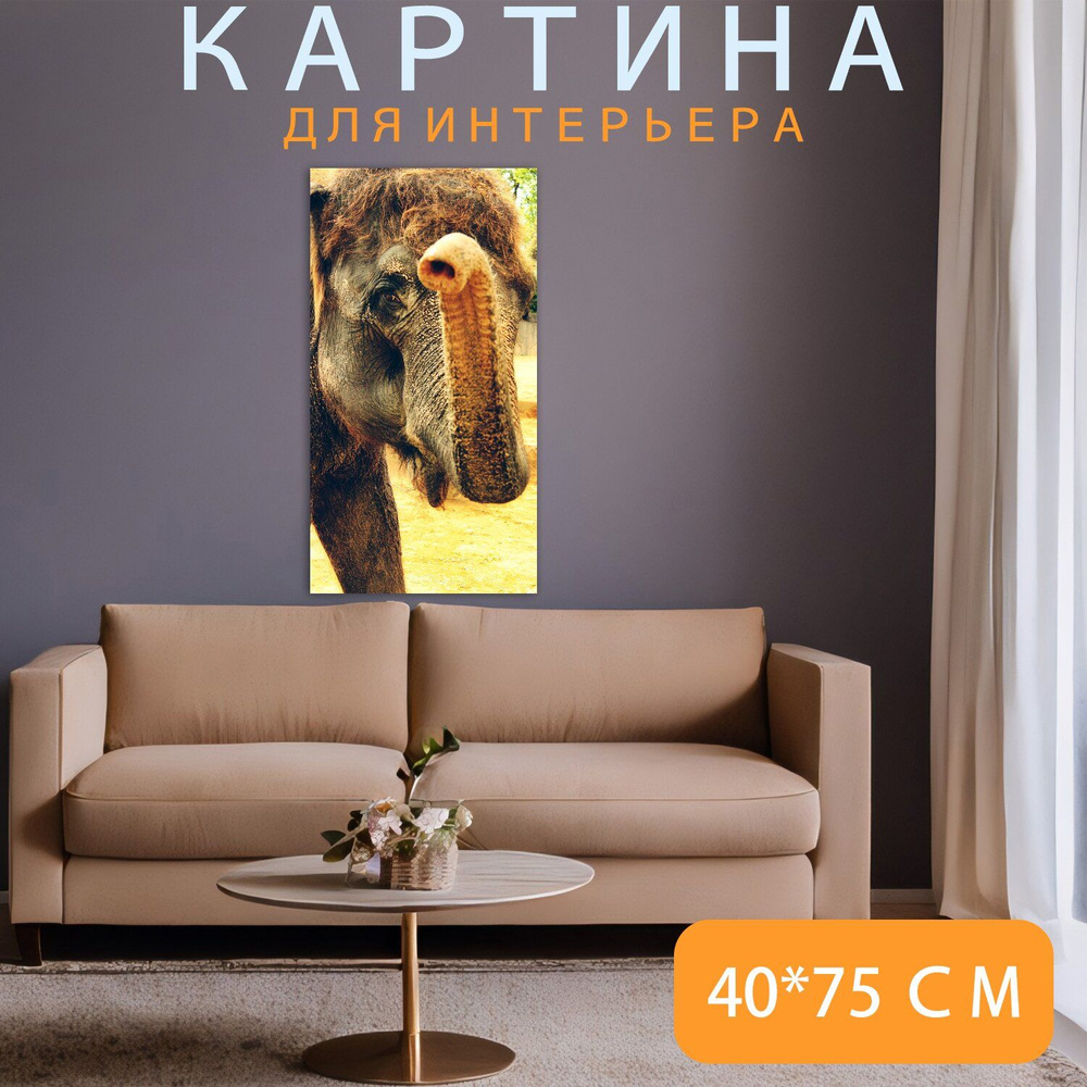 LotsPrints Картина "Слон, ствол, индийский 51", 75  х 40 см #1