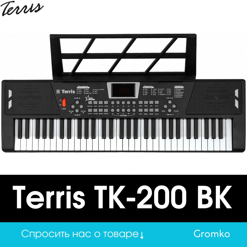 Детский синтезатор Terris TK-200 BK #1