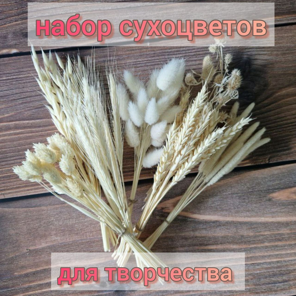 Сухоцветы, 150 гр #1