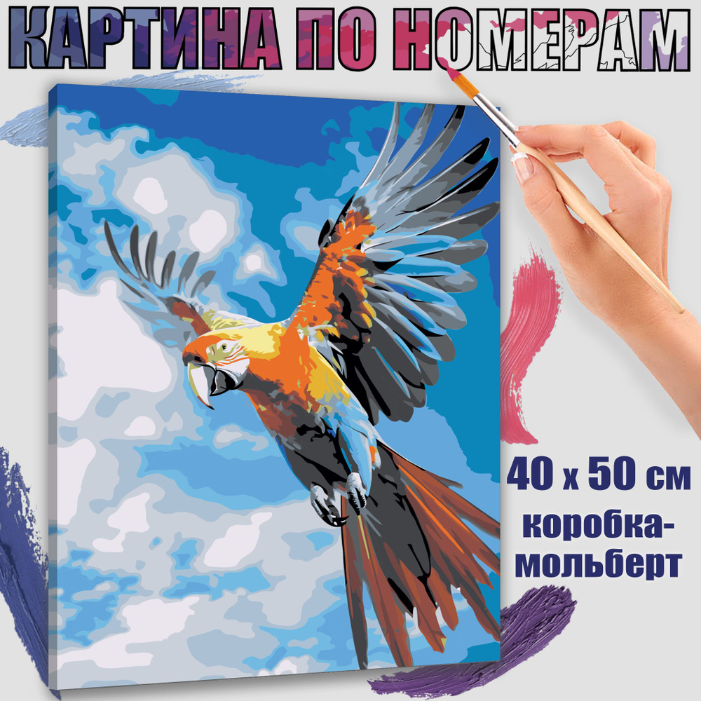 Картина по номерам 40x50 см. Волшебный попугай #1