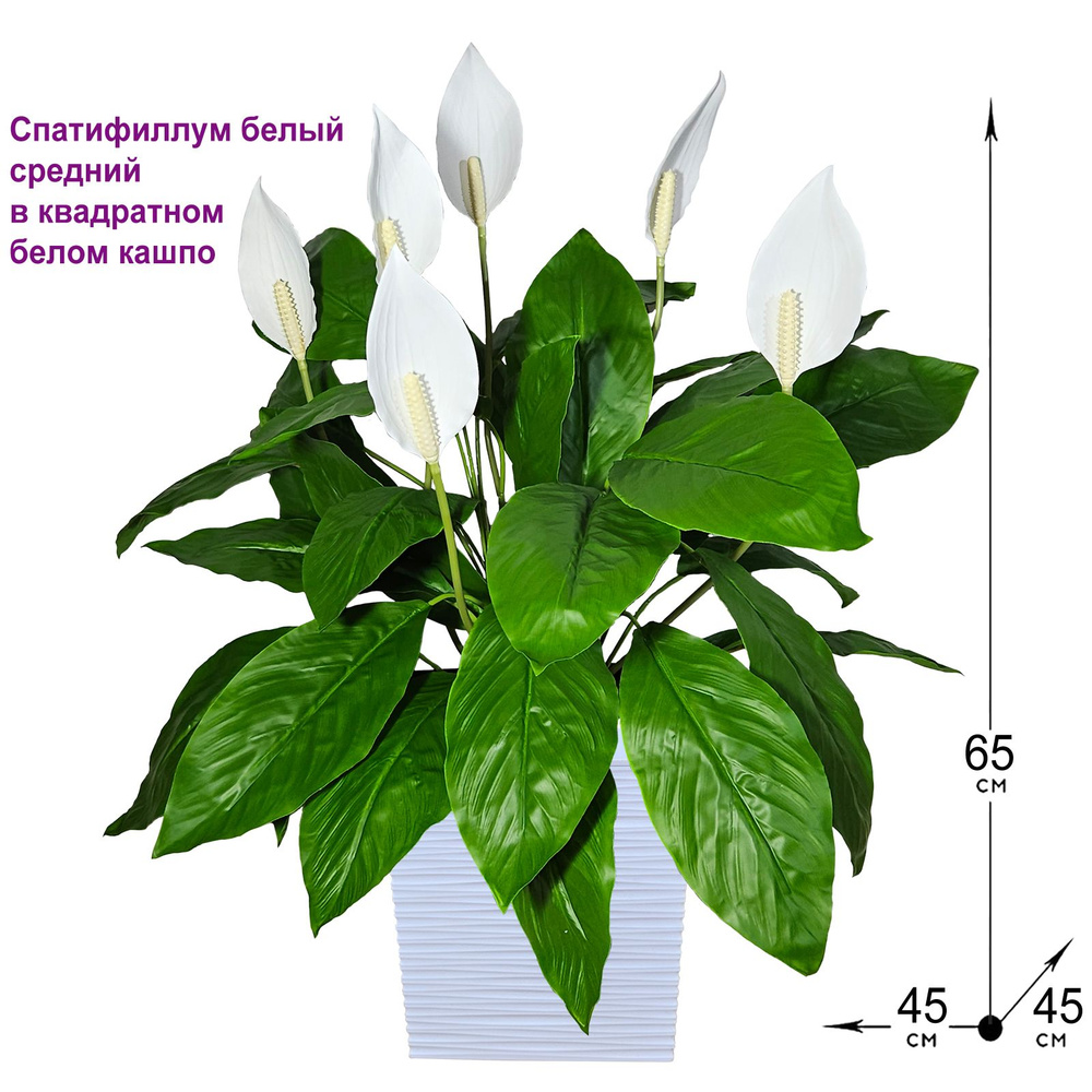 Искусственные цветы Спатифиллум белый средний в низком квадратном белом кашпо 65см, ФитоПарк  #1