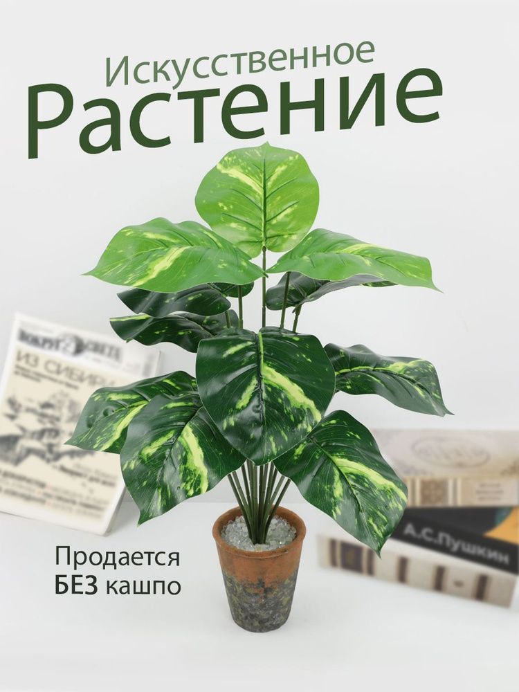 Комнатные цветы , искусственные растения для декора и интерьера  #1