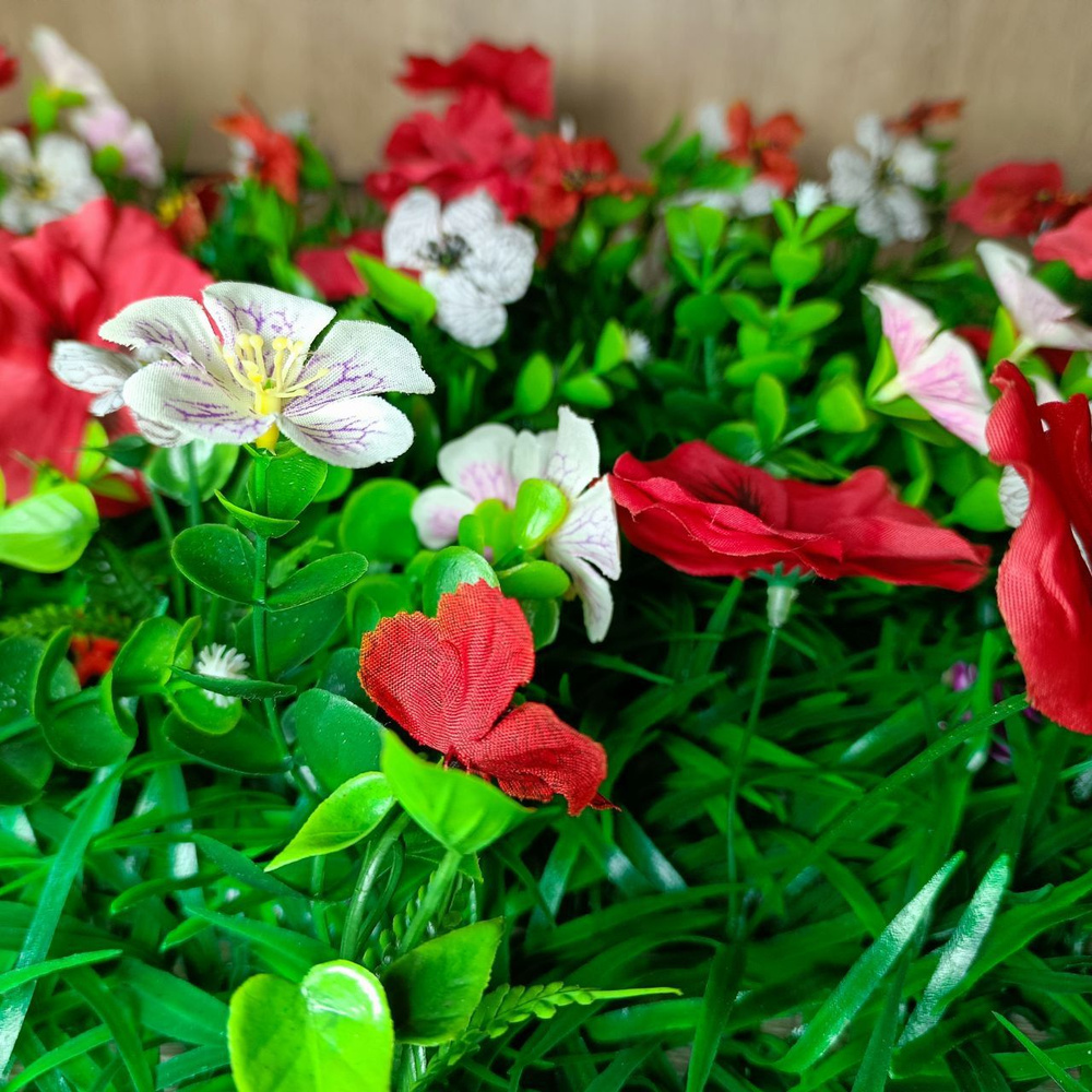 цветы АНЮТИНЫ ГЛАЗКИ ,60х40см. Красный с белым. самшитовый  #1