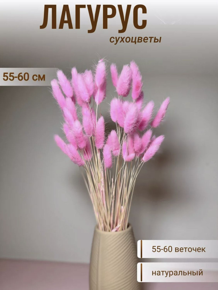 CRISPA FLOWERS Сухоцветы Лагурус, 55 шт #1