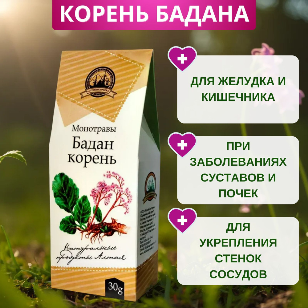 Корень бадана, моносбор 30 г. Алтайский травяной сбор для понижения артериального давления, чай для улучшения #1