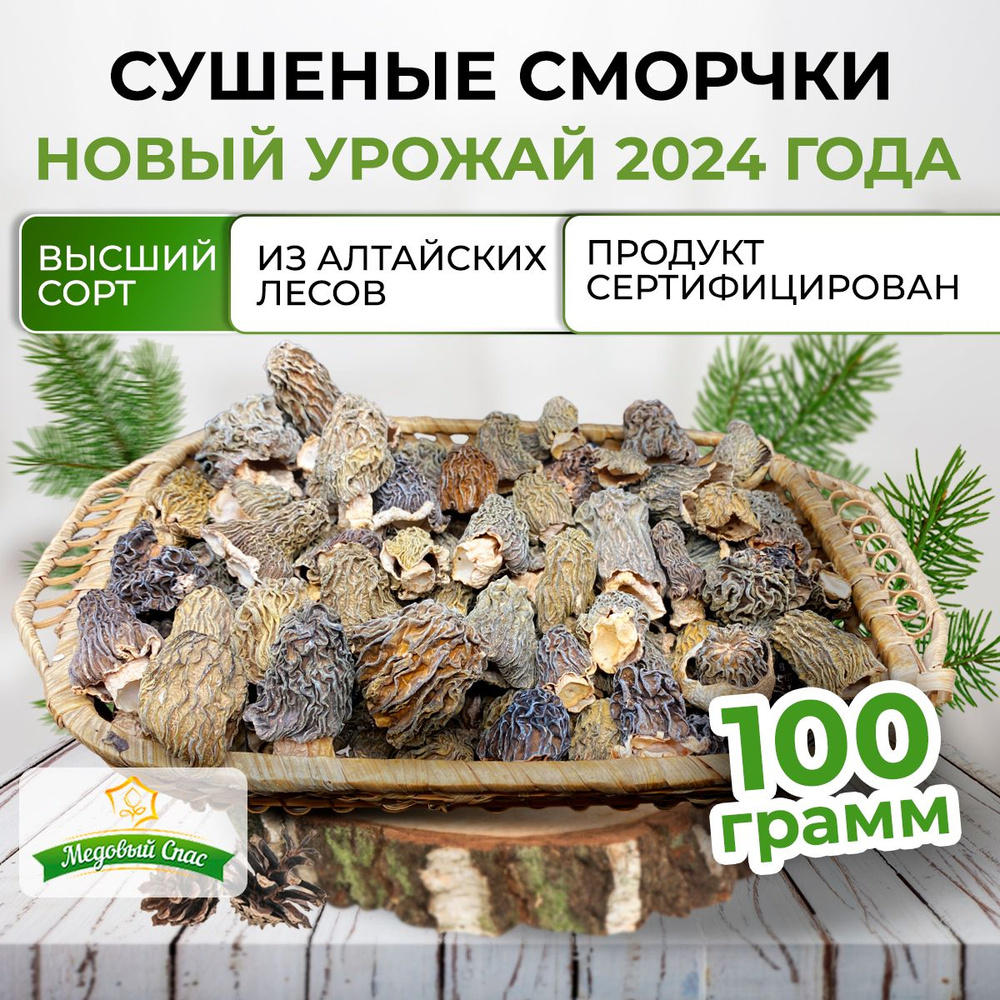 Гриб сморчок сушеный, 100 грамм, с Алтая, урожай 2024 года #1