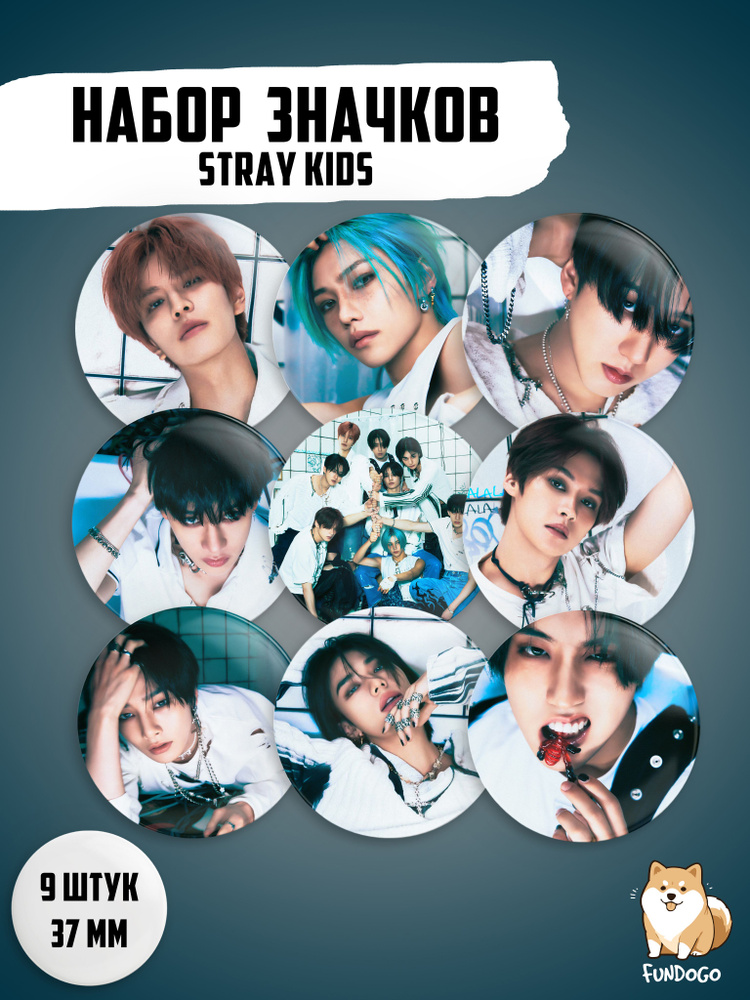 Набор значков k-pop Rock-Star Stray Kids #1