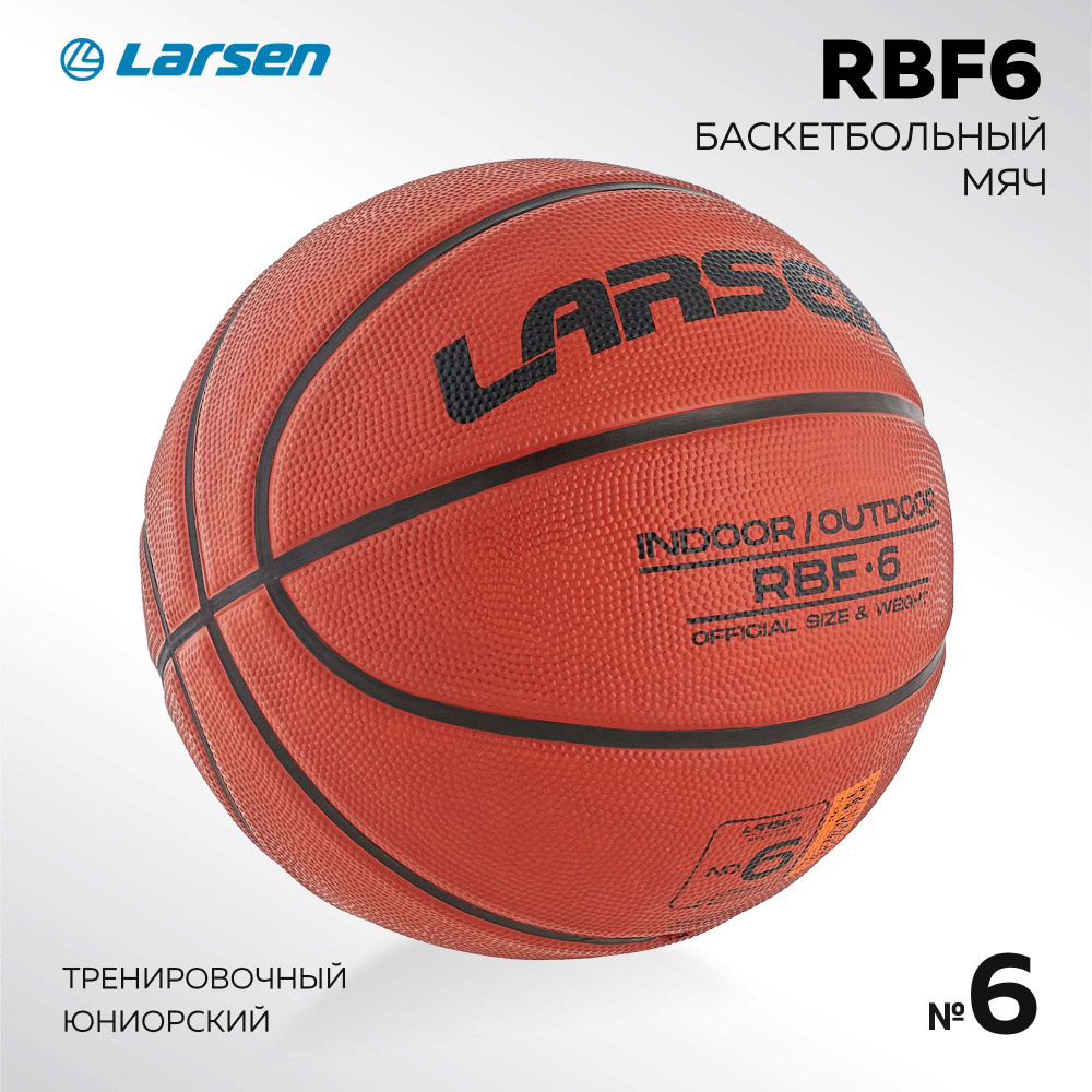 Мяч баскетбольный Larsen RBF6 #1
