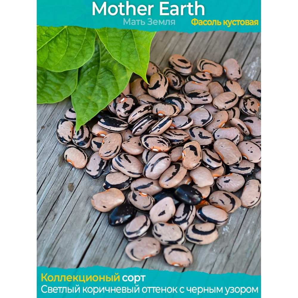 Семена фасоли Mother Earth - коллекционный сорт #1