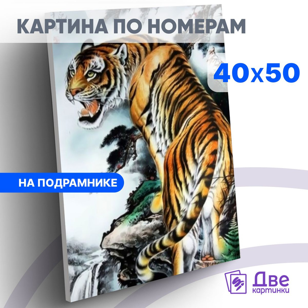 Картина по номерам 40х50 см на подрамнике "Грозный тигр на скале на фоне неба." DVEKARTINKI  #1