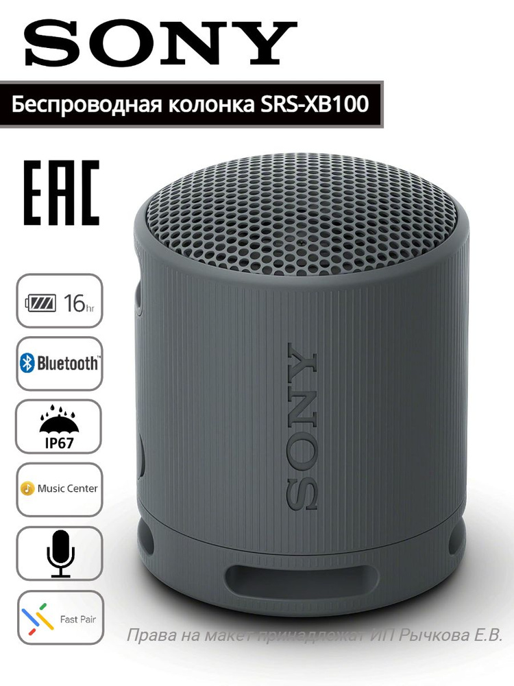 Беспроводная колонка SRS-XB100 #1