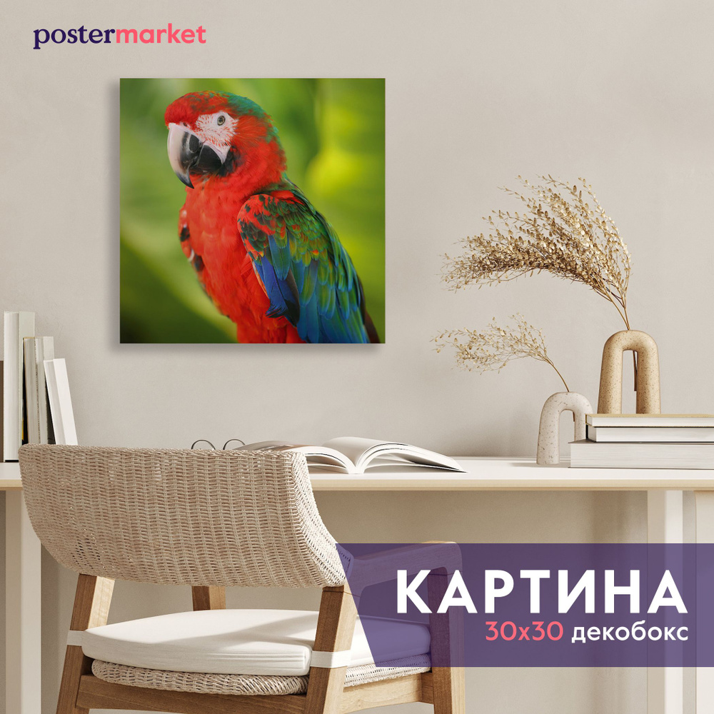 Картина декобокс Postermarket "Попугай", 30х30 см #1