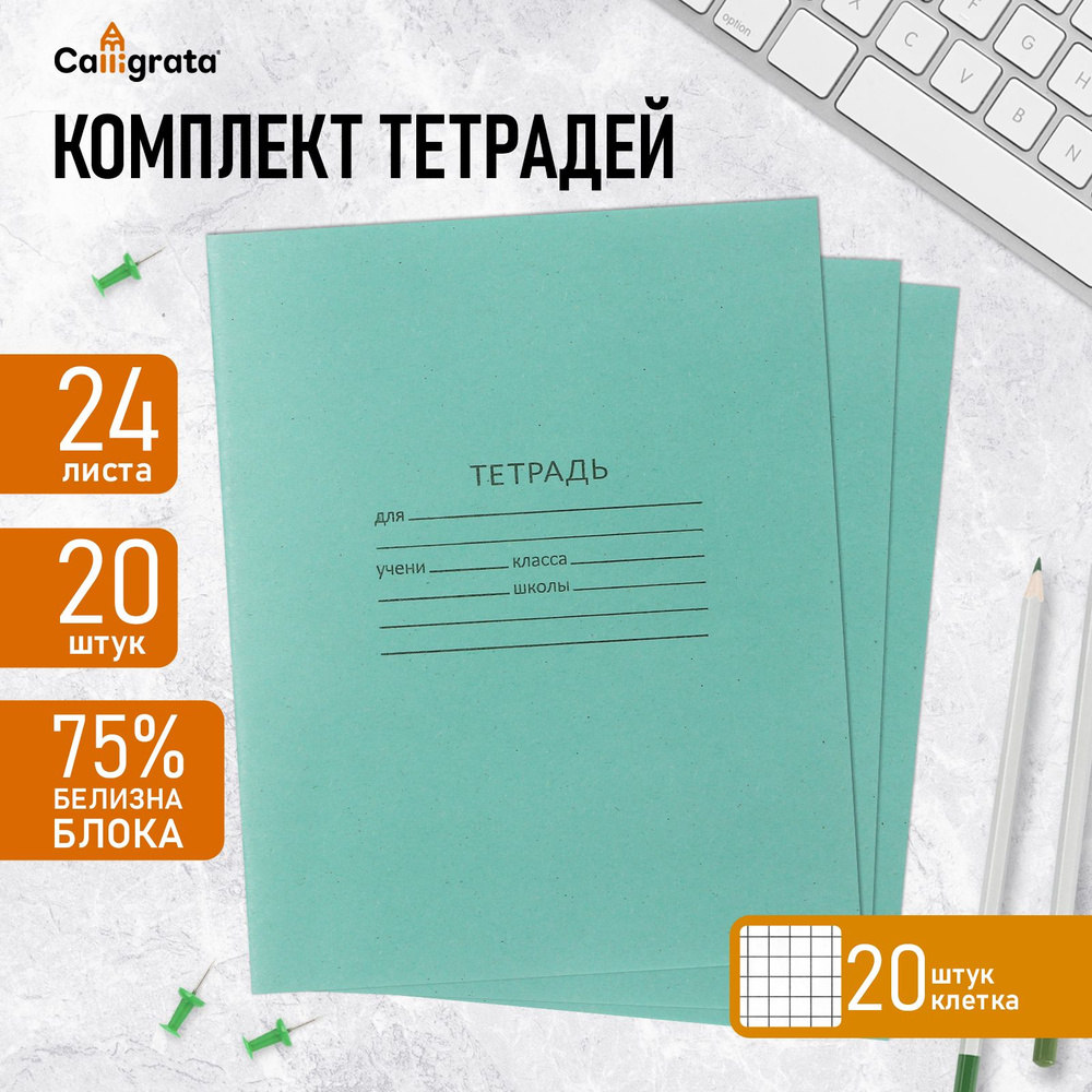 Комплект тетрадей из 20 штук, 24 листа в клетку КПК "Зелёная обложка", 60 г/м2, блок №2, белизна 75% #1