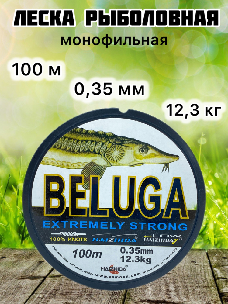 Леска для рыбалки 0,35 мм, 12,3 кг, леска рыболовная Beluga #1