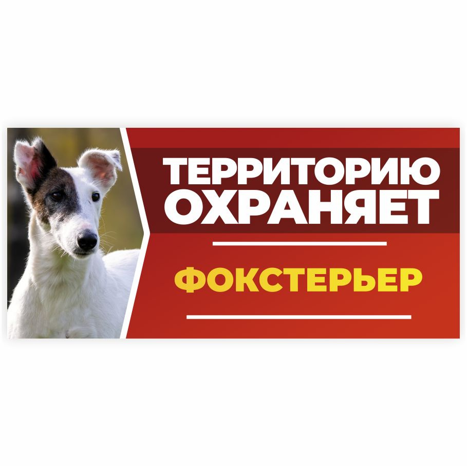 Табличка, DANGER DOG, Фокстерьер, на забор, 30см х 14см #1