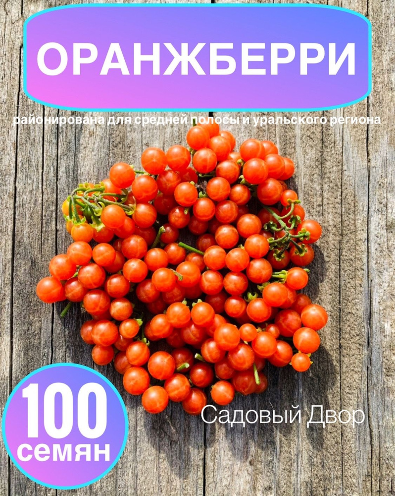 ОранжБерри (Оранжевая Черника), семена 100 шт, + рекомендация по агротехнике  #1