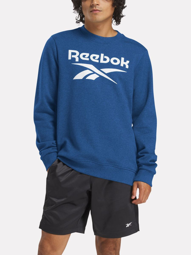 Свитшот Reebok IDENTITY BIG LOGO FLEECE CREW #1