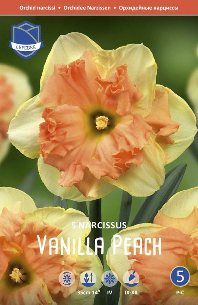 Нарцисс Ванилла Пич (Narcissus Vanilla Peach), 5 шт (разбор 12/14) #1