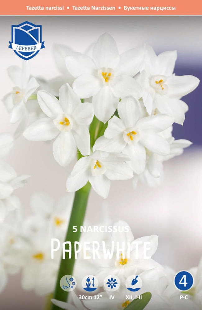 Нарцисс Пейпер Уайт (Narcissus tazetta Paperwhite), 5 шт (разбор 15/16) #1