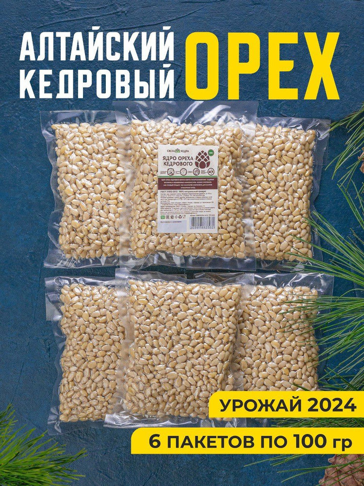 Орехи кедровые Сила Кедра сырые натуральные очищенные 600грамм, 6штук по 100 грамм  #1