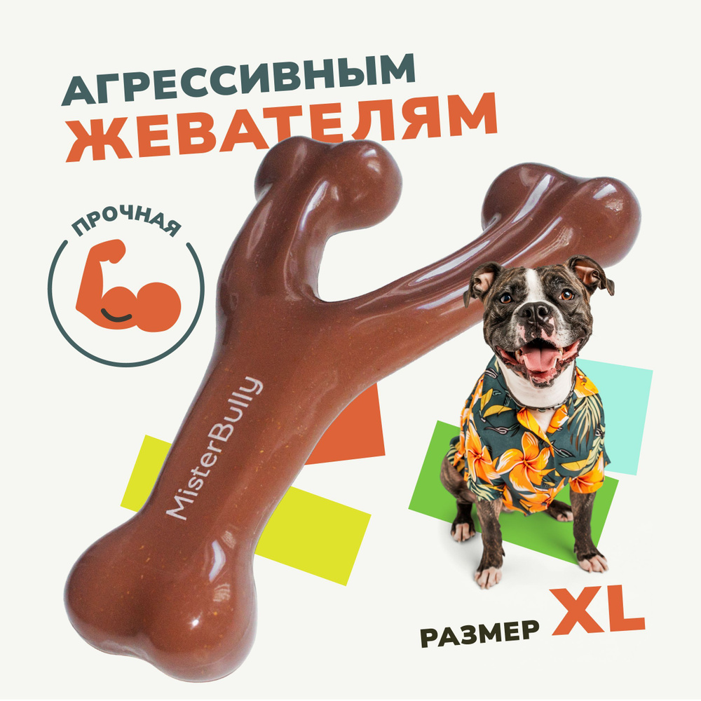 MisterBully косточка для собак крупных пород со вкусом говядины Долгоиграющая жевательная игрушка для #1