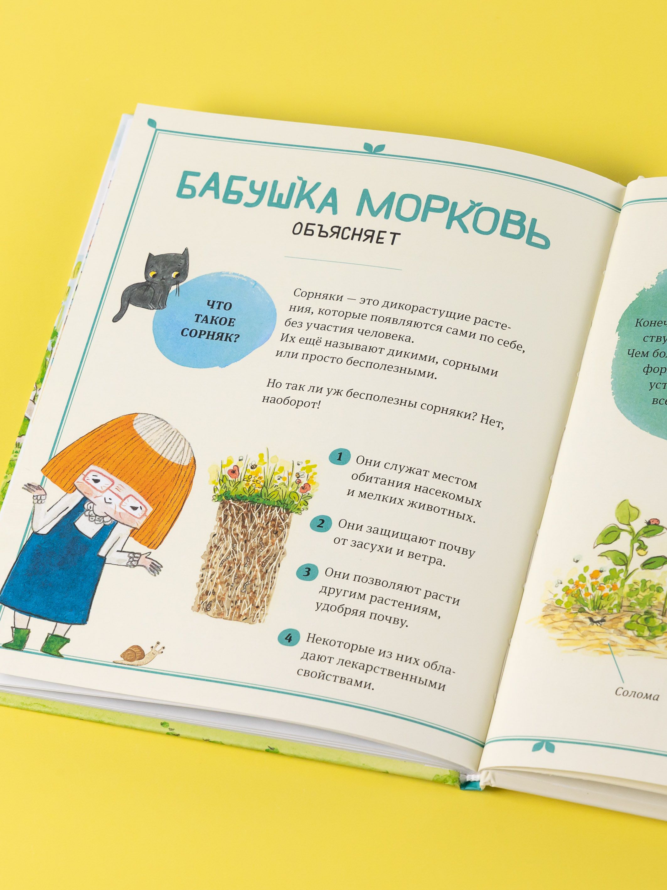 В саду Базилика. Сорняков не существует! | In Basil's Garden: Weeds Do Not Exist! - Ozon image 6