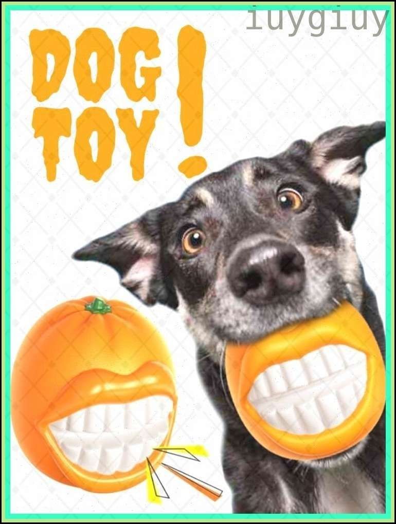 Бестселлер2026длясобак,надежныйсозвуком