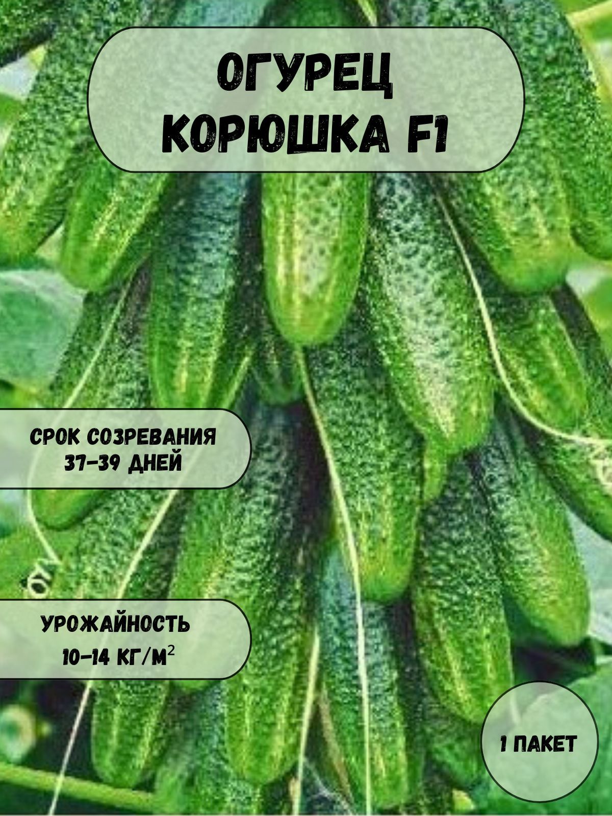 ОгурецКорюшкаF1семена10шт