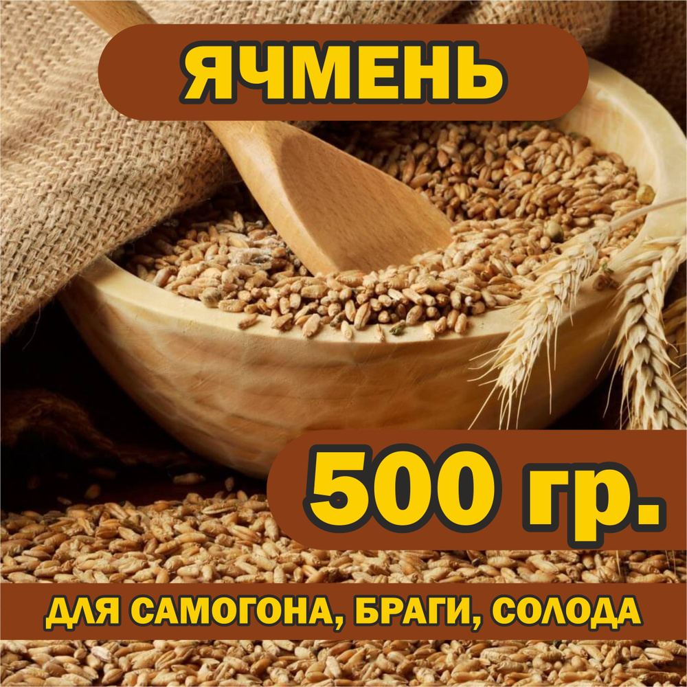 Ячмень 500 гр. для самогона, браги, солода, брожения, проращивания.  #1