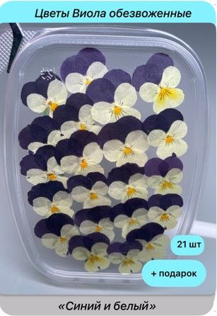 Цветы Виолы "Синий и белый", 21 шт. - съедобные, обезвоженные, сушеные цветы "Синий и белый" для декора #1