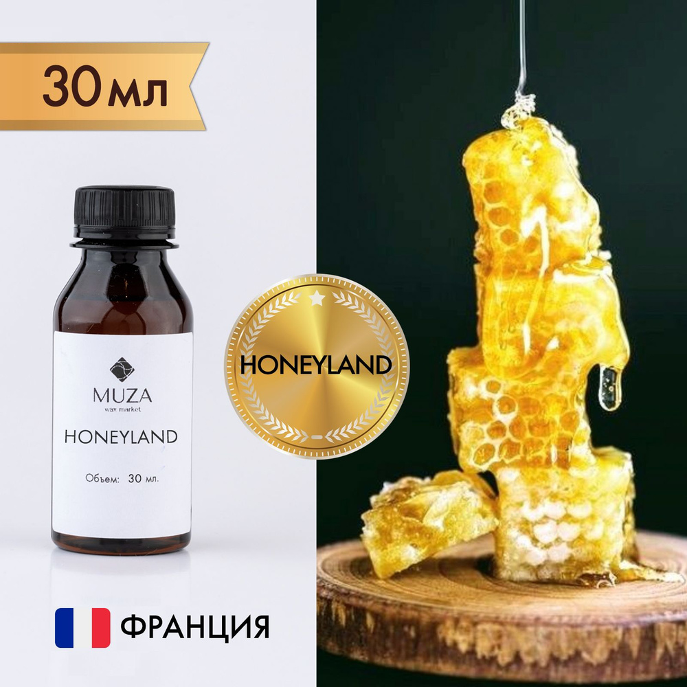 Отдушка "Медовая страна (Honeyland)", 30 мл., для свечей, мыла и диффузоров, Франция  #1