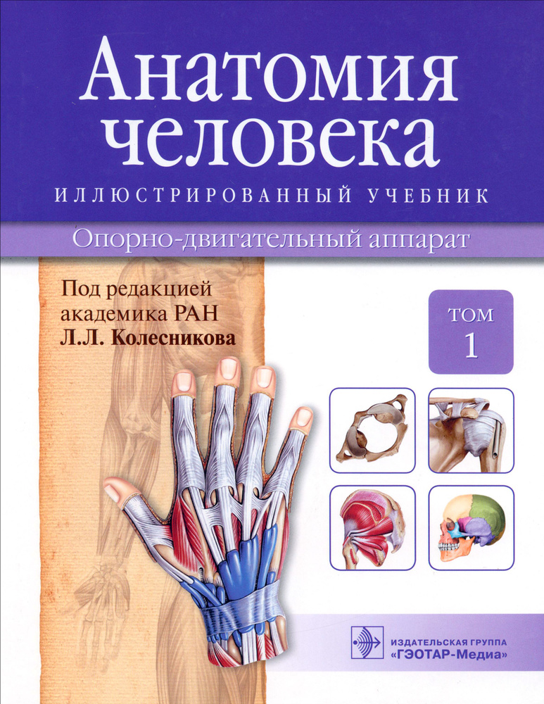 Анатомия человека. Иллюстрированный учебник. В 3-х томах. Том 1. Опорно-двигательный аппарат | Колесников #1