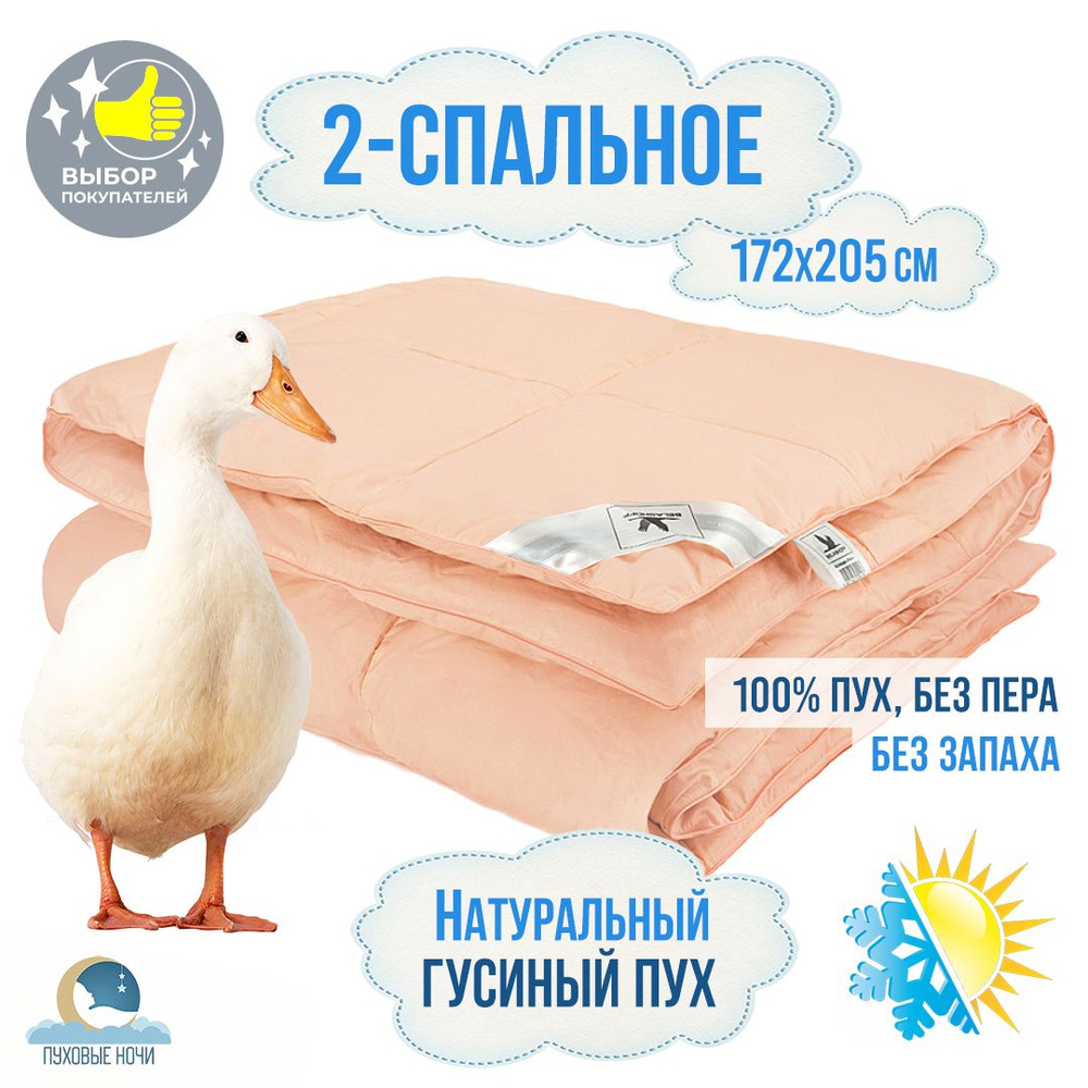 Одеяло кассетное пуховое всесезонное, 100% натуральный гусиный пух, 2-спальное, 172x205 см  #1