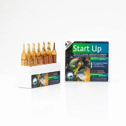 Prodibio START UP 12 ампул набор преп. 6 BIO DIGEST+6 STOP AMMO #1