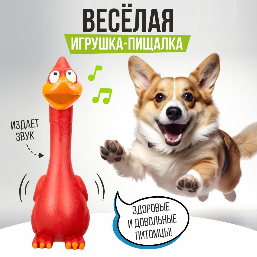 Игрушка для животных "Курица" / Pet toy #1