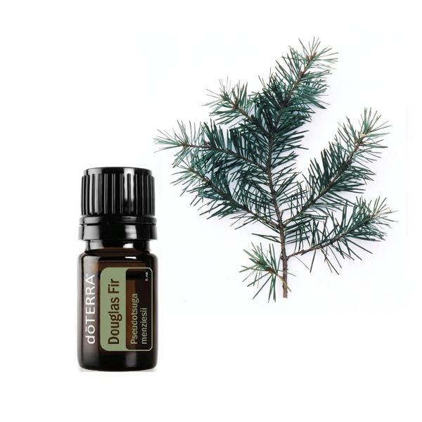 Эфирное масло доТЕРРА Дугласова пихта, doTERRA Douglas Fir 5 мл. #1