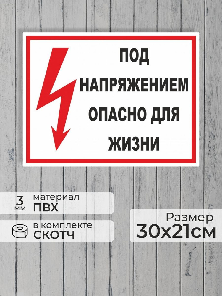 Табличка "Под напряжением, опасно для жизни" А4 (30х21см) #1