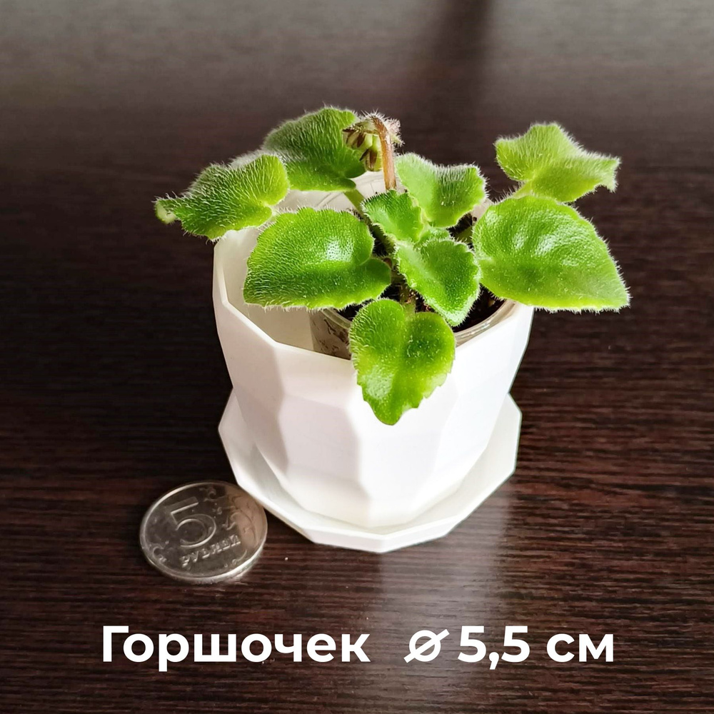 Flower3d Горшок для цветов, Горшочек 55 мм граненый, 5 см х 5.5 см, 0.09 л, 1 шт  #1