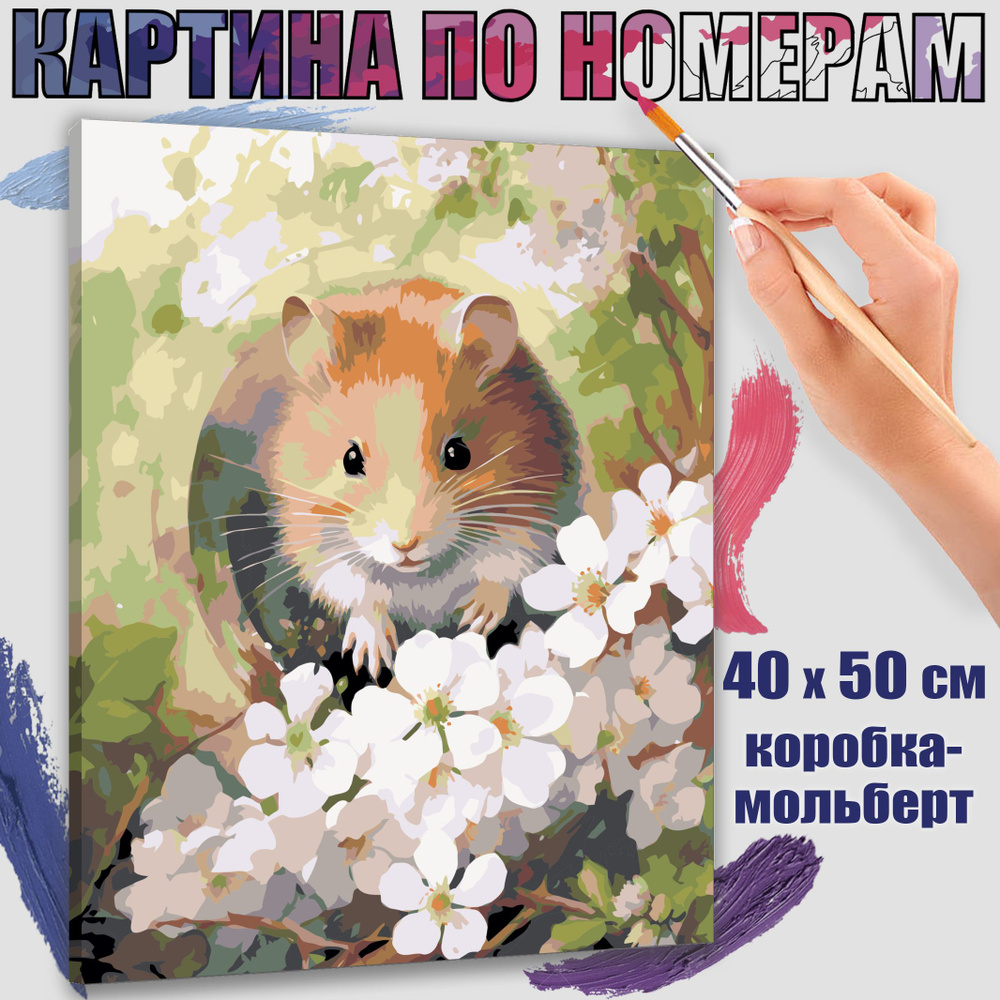 Картина по номерам 40x50 см. Хомяк #1