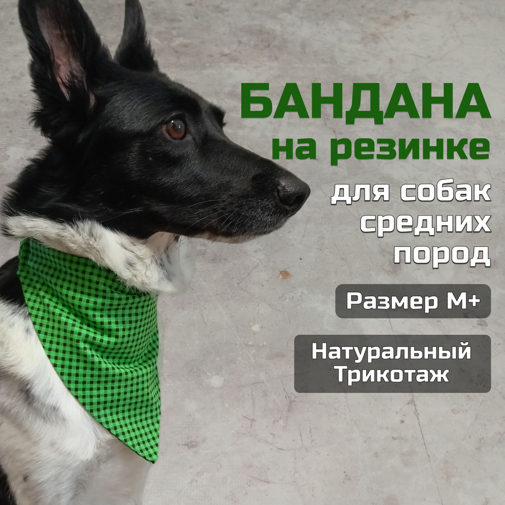 Бандана для собак на резинке M+ (Рубашка Ноль Три Зелёная)  #1