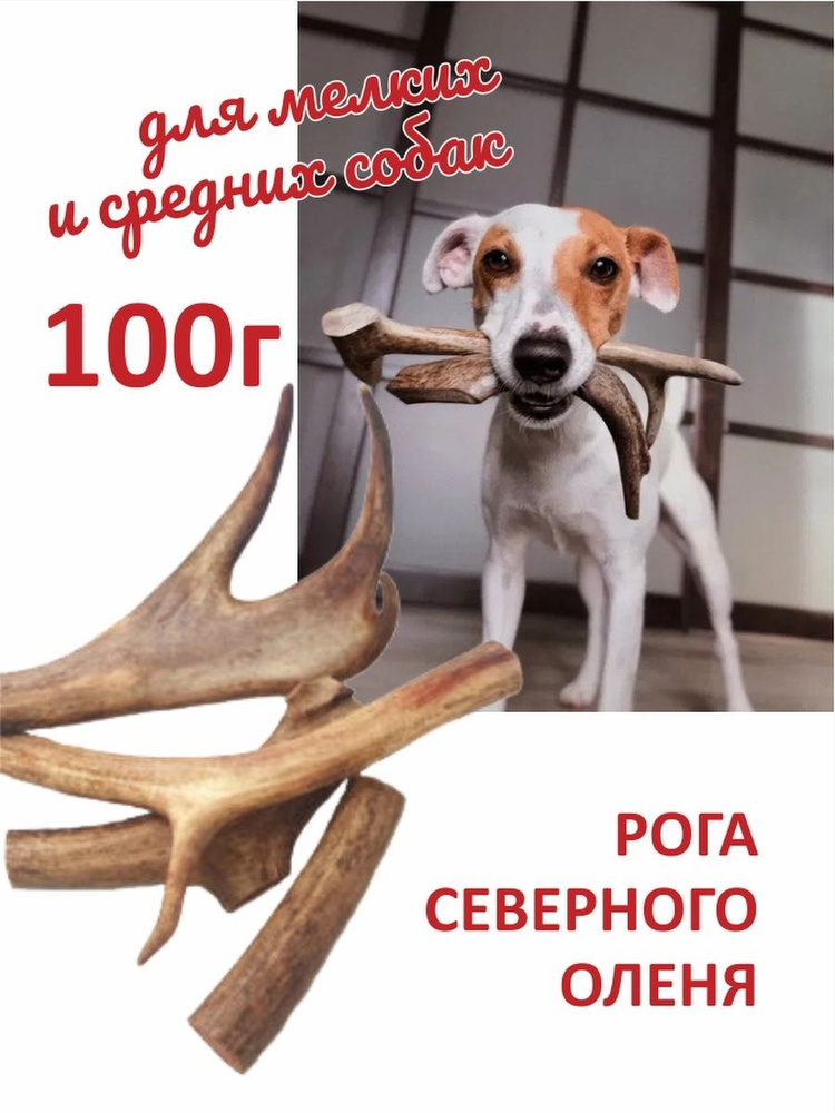 Рога северного оленя для мелких собак 100г. #1