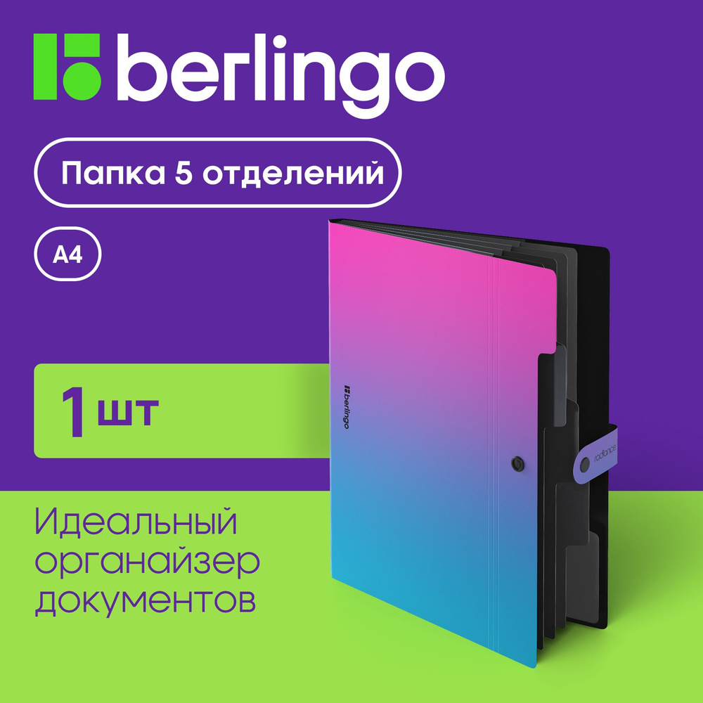 Папка 5 отделений Berlingo "Radiance", А4, 600мкм, на кнопке, розовый/голубой градиент  #1