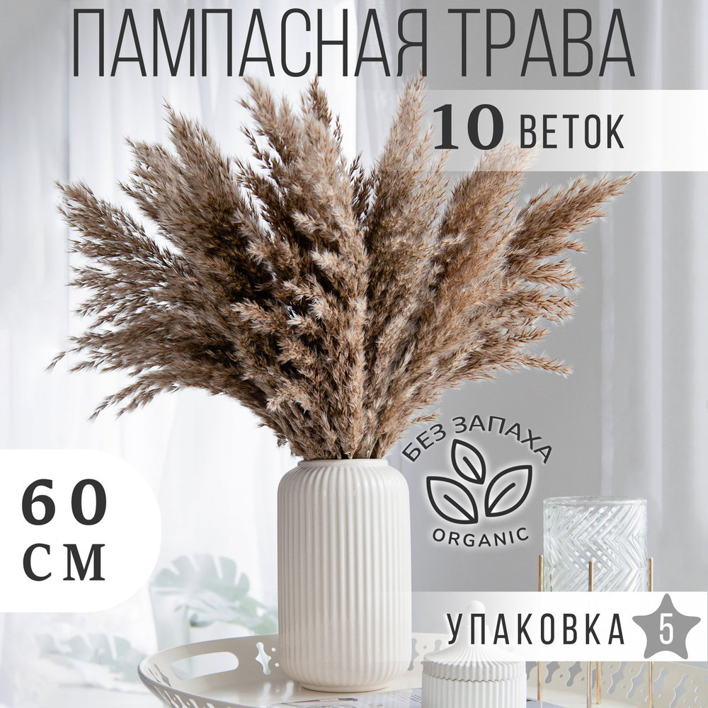 ARANTA Букет из сухоцветов Пампасная трава Камыш, 60, см, 250, гр, 10 шт  #1