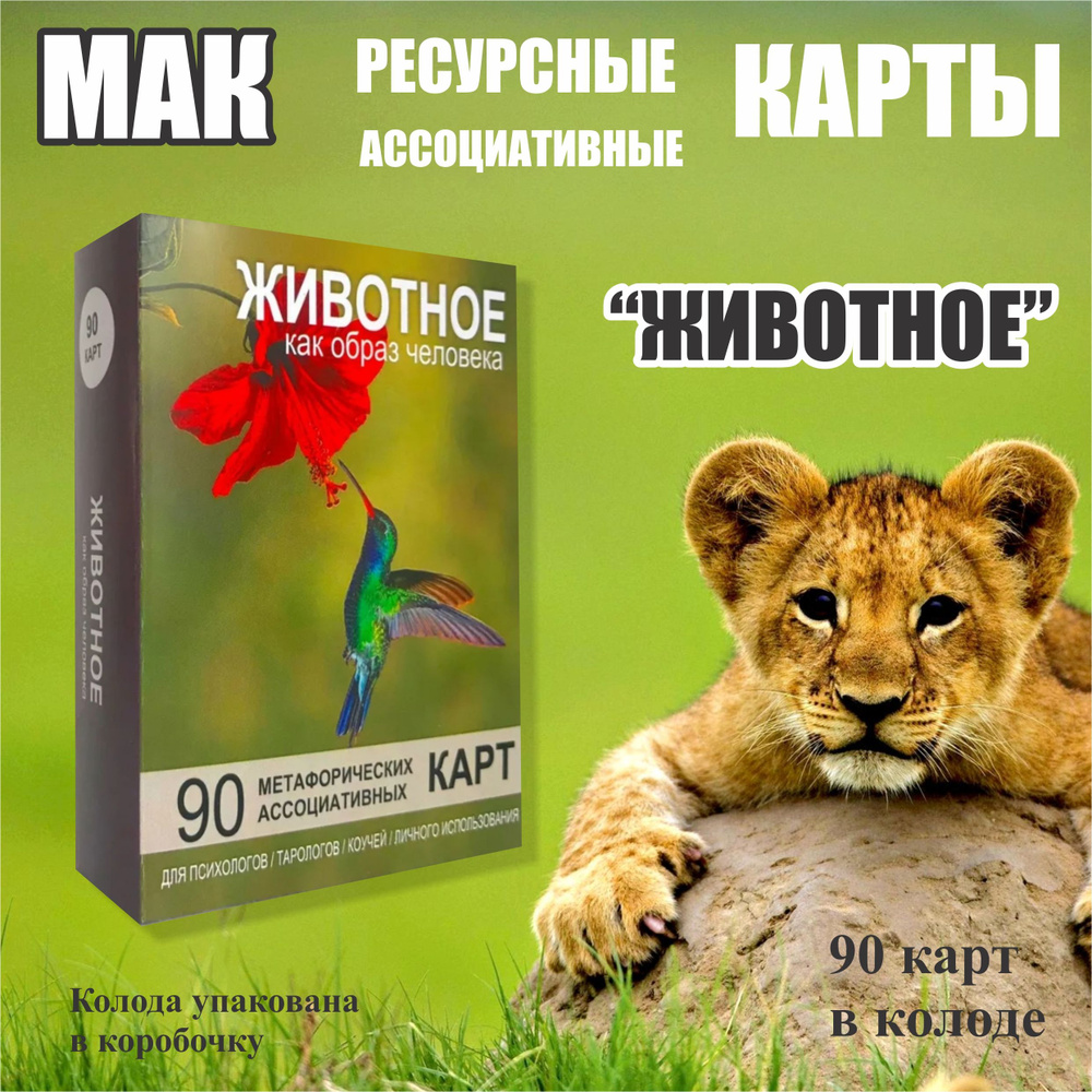 "Животное" трансформационные ассоциативные карты. 90 штук  #1