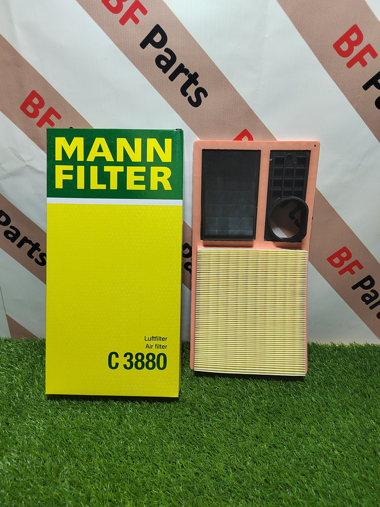 MANN FILTER Фильтр воздушный Пылевой арт. C3880, 1 шт. #1