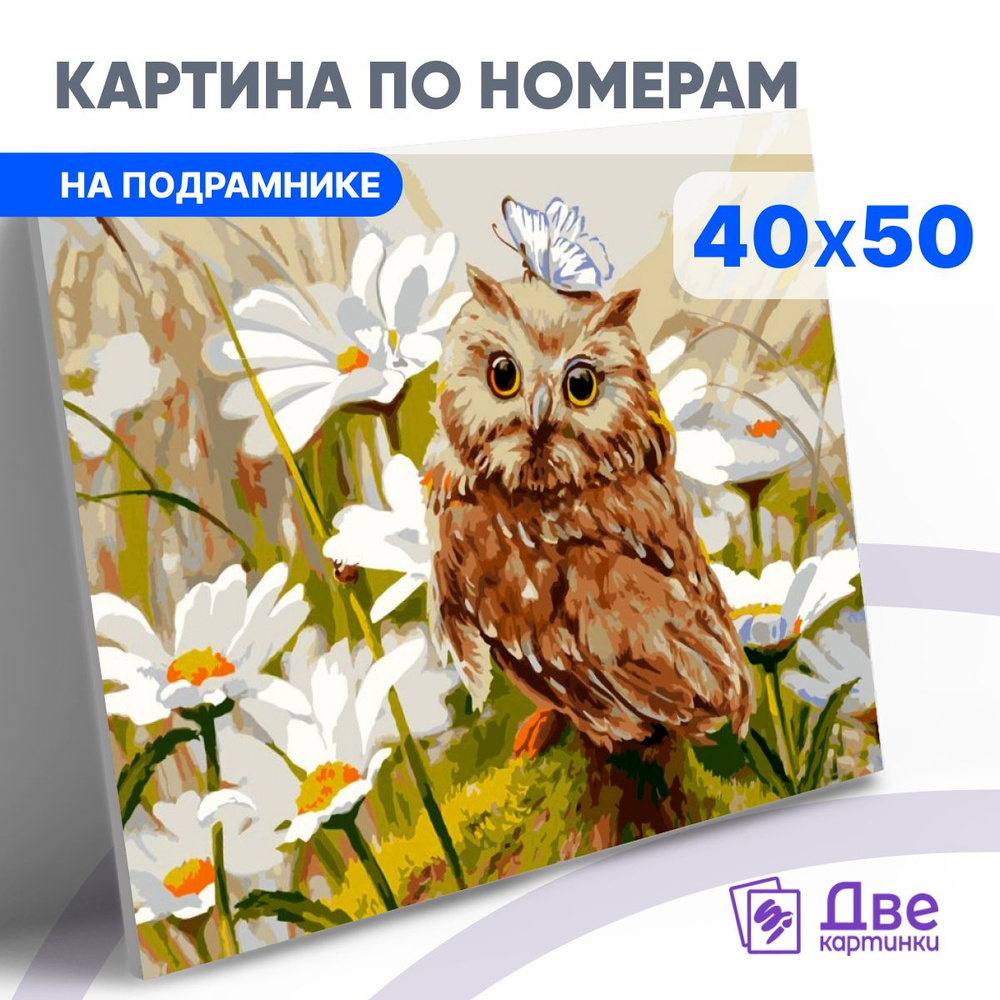 Картина по номерам на холсте 40x50 40 х 50 с подрамником "Совушка с бабочкой"  #1