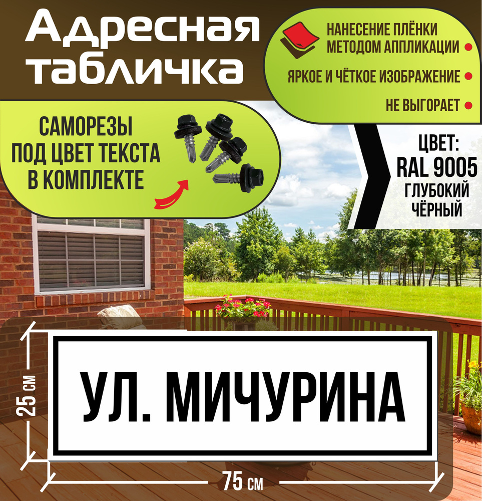 Адресная табличка на дом улица Мичурина RAL 9005 черная #1