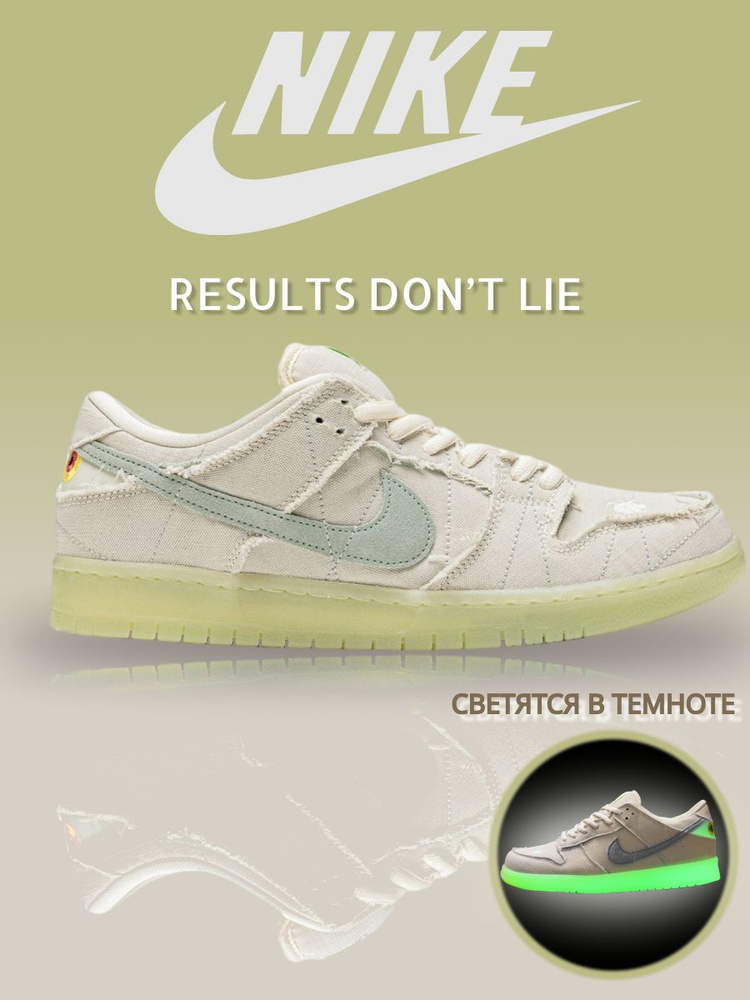 Кроссовки Nike Dunk SB #1