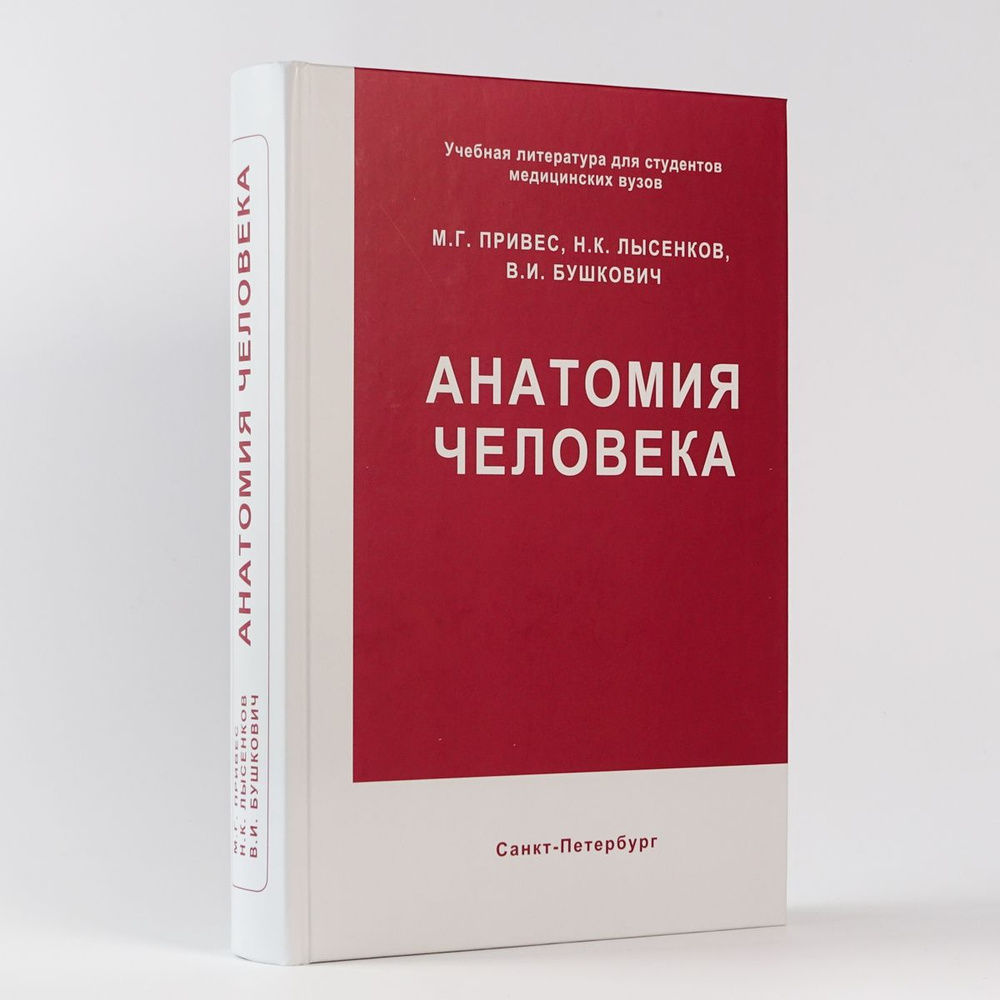 Анатомия человека. Привес М.Г. | Привес Михаил Григорьевич, Лысенков Николай Константинович  #1