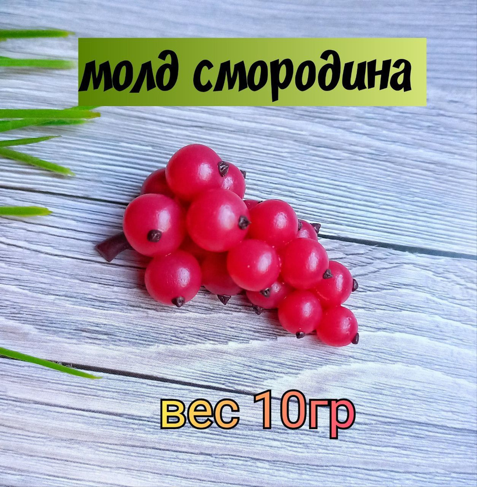 Молд " Смородина " #1